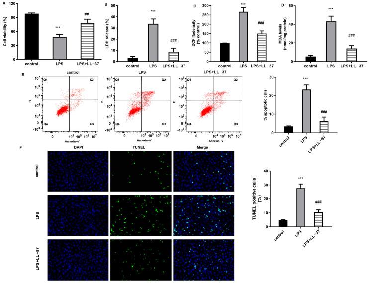 https://cdn.ncbi.nlm.nih.gov/pmc/blobs/e0d1/12197590/70188c5ea552/toxins-17-00306-g001.jpg