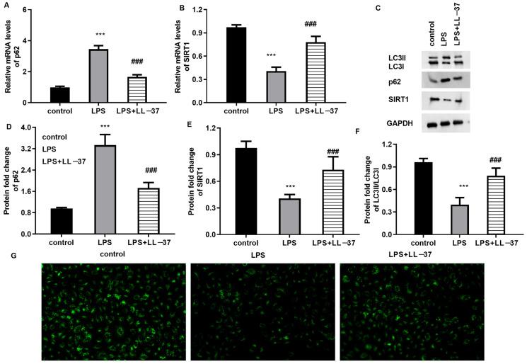 https://cdn.ncbi.nlm.nih.gov/pmc/blobs/e0d1/12197590/86619f657e4d/toxins-17-00306-g003.jpg