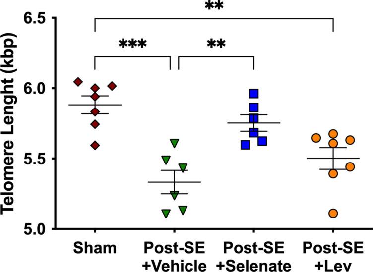 https://cdn.ncbi.nlm.nih.gov/pmc/blobs/e0d6/10208637/e40cdb4a15c2/elife-78877-fig4.jpg