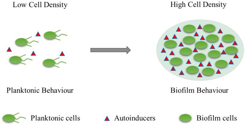 https://cdn.ncbi.nlm.nih.gov/pmc/blobs/e0d8/10058477/546625971606/molecules-28-02432-g002.jpg