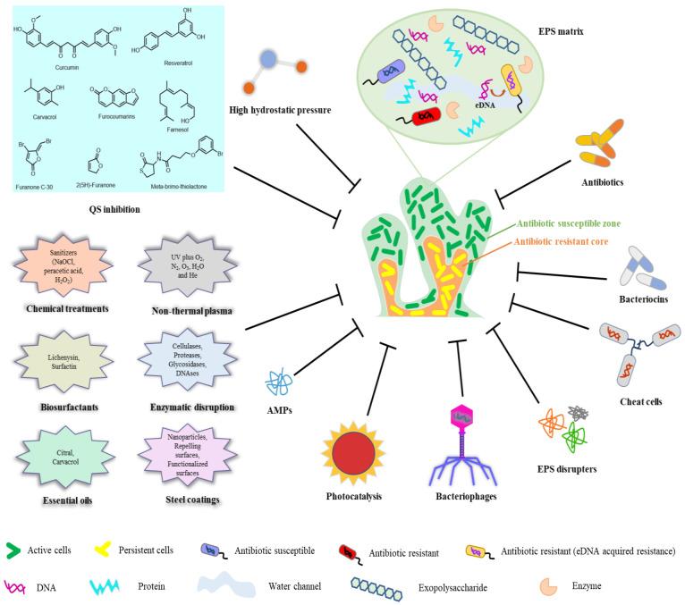 https://cdn.ncbi.nlm.nih.gov/pmc/blobs/e0d8/10058477/a5b94fc22331/molecules-28-02432-g003.jpg