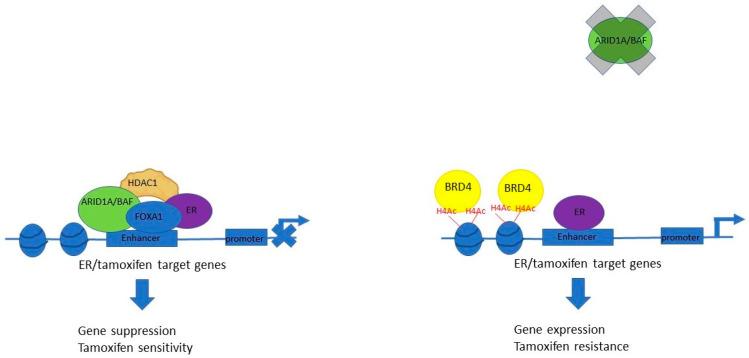 https://cdn.ncbi.nlm.nih.gov/pmc/blobs/e0db/10815128/a30111daac28/genes-15-00005-g008.jpg