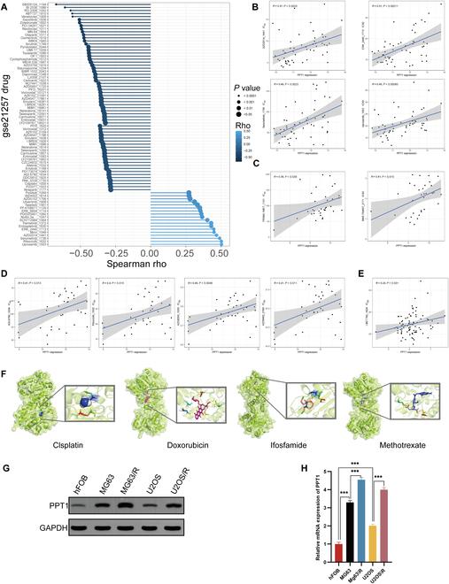 https://cdn.ncbi.nlm.nih.gov/pmc/blobs/e0e2/12099059/07f010e679ee/research.0708.fig.002.jpg