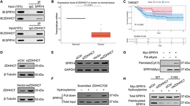 https://cdn.ncbi.nlm.nih.gov/pmc/blobs/e0e2/12099059/2e159d6dc5f4/research.0708.fig.008.jpg
