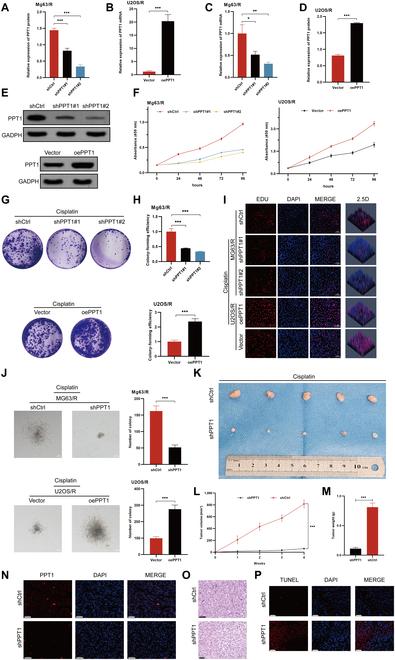 https://cdn.ncbi.nlm.nih.gov/pmc/blobs/e0e2/12099059/430de87c0272/research.0708.fig.003.jpg