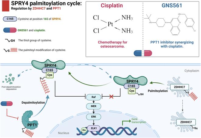https://cdn.ncbi.nlm.nih.gov/pmc/blobs/e0e2/12099059/5c99ae56a940/research.0708.fig.010.jpg