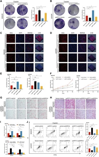 https://cdn.ncbi.nlm.nih.gov/pmc/blobs/e0e2/12099059/6ea8966d55db/research.0708.fig.007.jpg