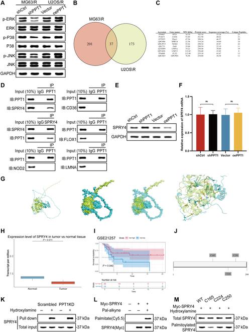 https://cdn.ncbi.nlm.nih.gov/pmc/blobs/e0e2/12099059/81449f9adc0a/research.0708.fig.006.jpg