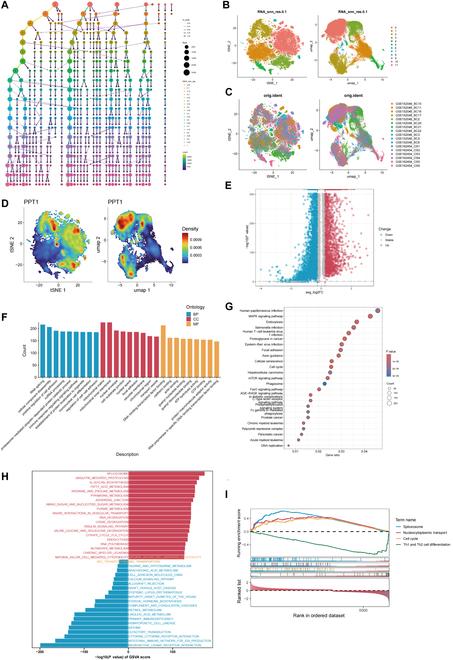 https://cdn.ncbi.nlm.nih.gov/pmc/blobs/e0e2/12099059/daeb092599b3/research.0708.fig.005.jpg