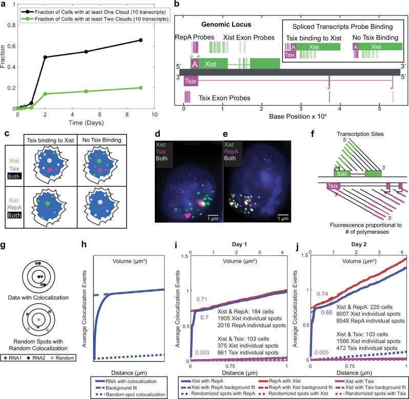 https://cdn.ncbi.nlm.nih.gov/pmc/blobs/e10d/12056010/59593936d97c/41467_2025_59496_Fig2_HTML.jpg
