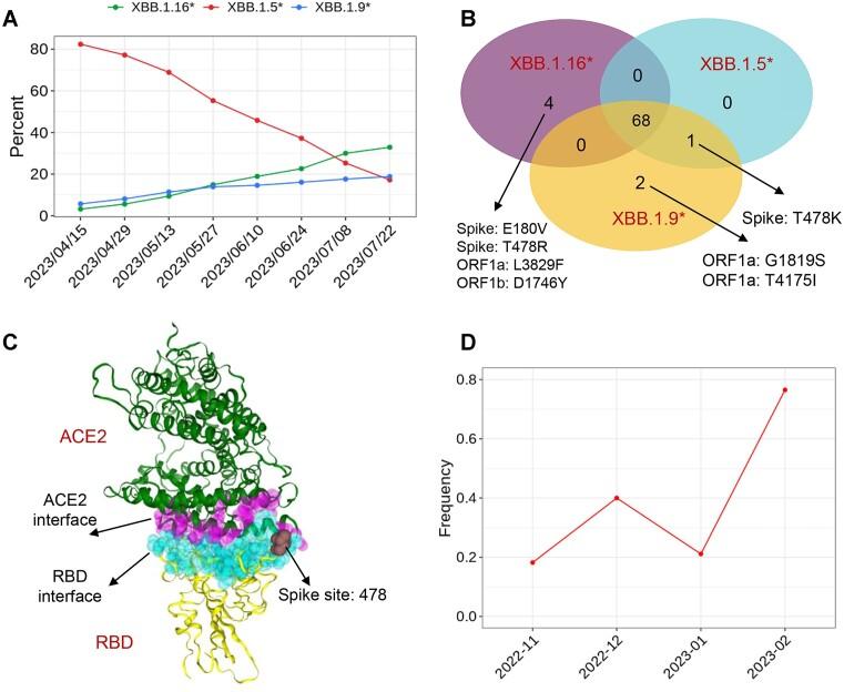 https://cdn.ncbi.nlm.nih.gov/pmc/blobs/e122/10767816/970e9bc44d18/gkad958fig4.jpg