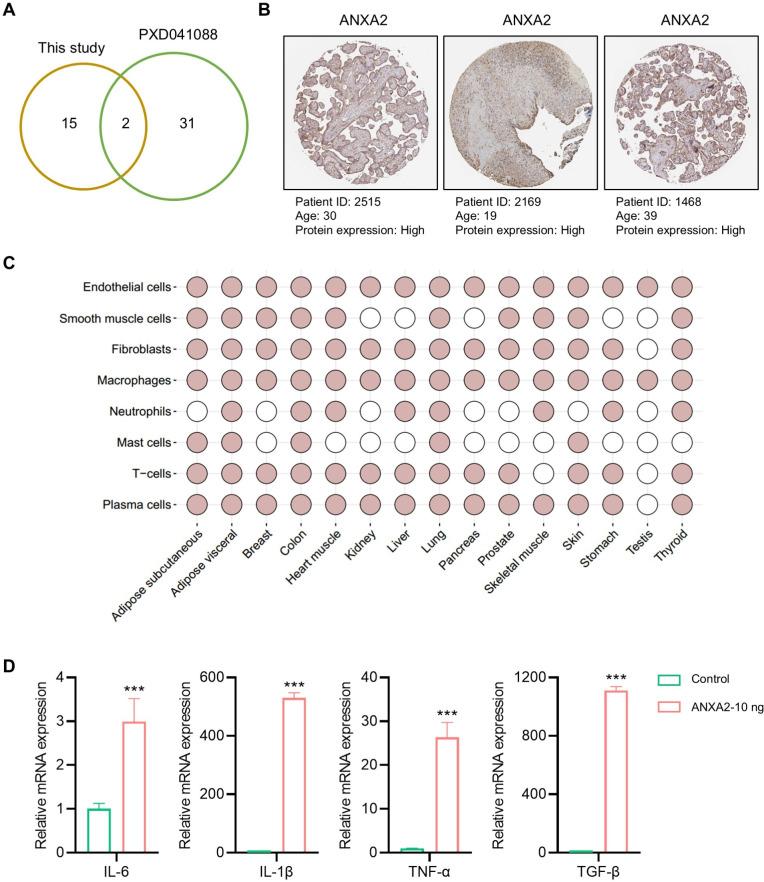 https://cdn.ncbi.nlm.nih.gov/pmc/blobs/e12b/12143284/76693a5ff2f3/peerj-13-19449-g005.jpg