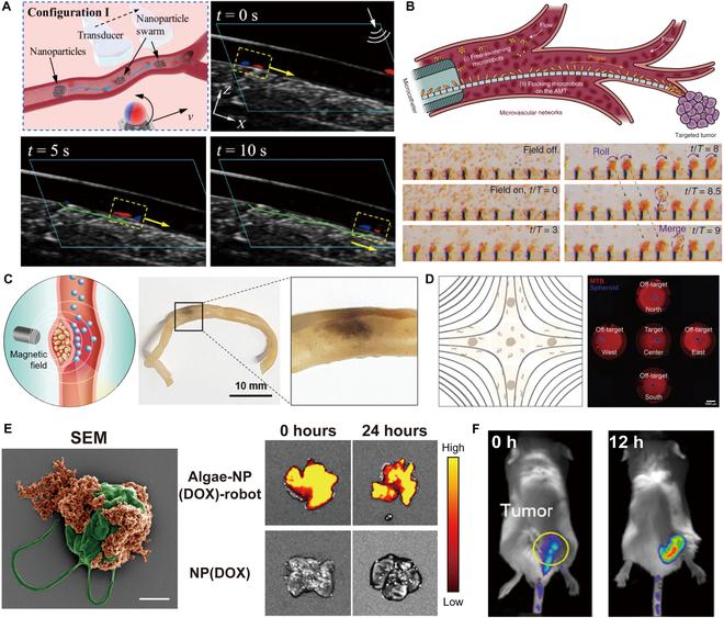 https://cdn.ncbi.nlm.nih.gov/pmc/blobs/e146/12038165/20815e1212d3/research.0686.fig.005.jpg
