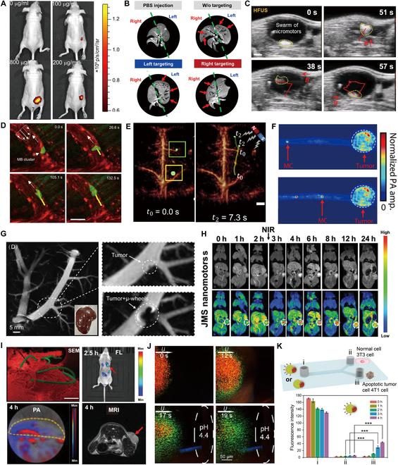 https://cdn.ncbi.nlm.nih.gov/pmc/blobs/e146/12038165/24107e142b71/research.0686.fig.007.jpg