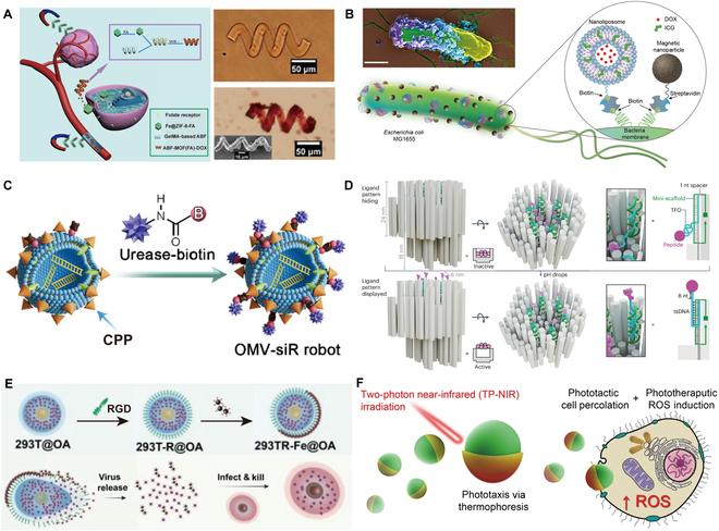 https://cdn.ncbi.nlm.nih.gov/pmc/blobs/e146/12038165/88fc681252ca/research.0686.fig.003.jpg
