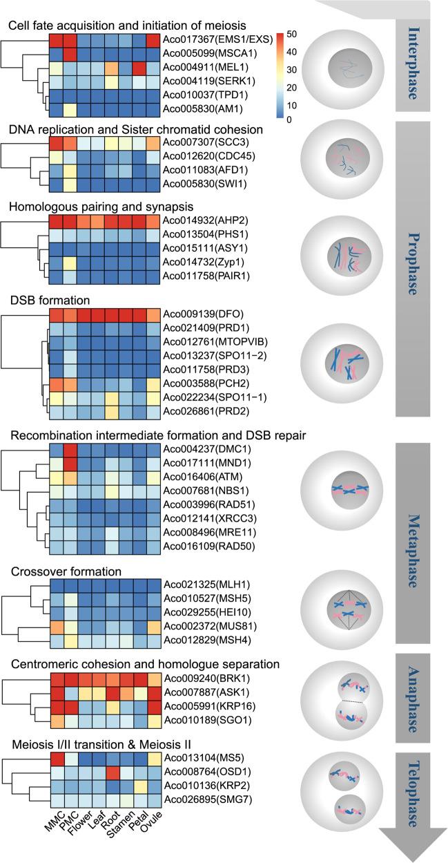 https://cdn.ncbi.nlm.nih.gov/pmc/blobs/e149/8558326/f7e7822327b1/41438_2021_669_Fig6_HTML.jpg