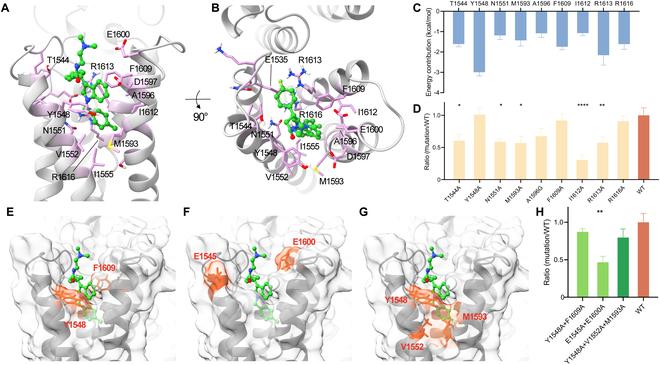 https://cdn.ncbi.nlm.nih.gov/pmc/blobs/e14f/11775380/6e03c921d7f4/research.0599.fig.004.jpg