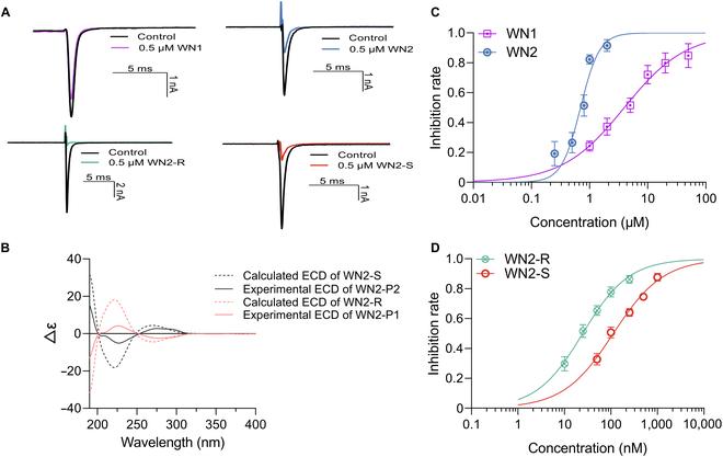 https://cdn.ncbi.nlm.nih.gov/pmc/blobs/e14f/11775380/7f7fb2129356/research.0599.fig.003.jpg