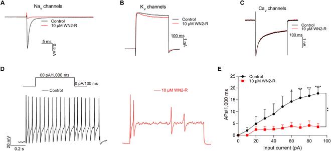 https://cdn.ncbi.nlm.nih.gov/pmc/blobs/e14f/11775380/d664d0c889fb/research.0599.fig.005.jpg