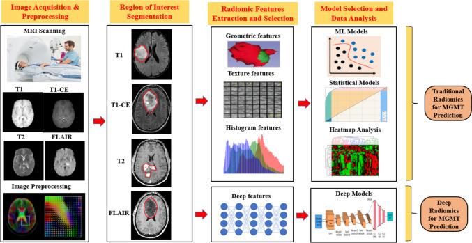 https://cdn.ncbi.nlm.nih.gov/pmc/blobs/e16d/11793220/955f3f4aef6d/432_2023_5566_Fig6_HTML.jpg