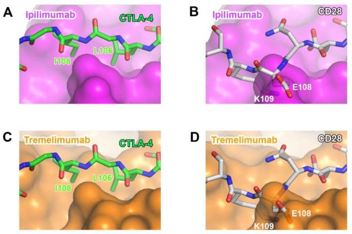 https://cdn.ncbi.nlm.nih.gov/pmc/blobs/e171/6470598/2db81622bacc/molecules-24-01190-g011.jpg