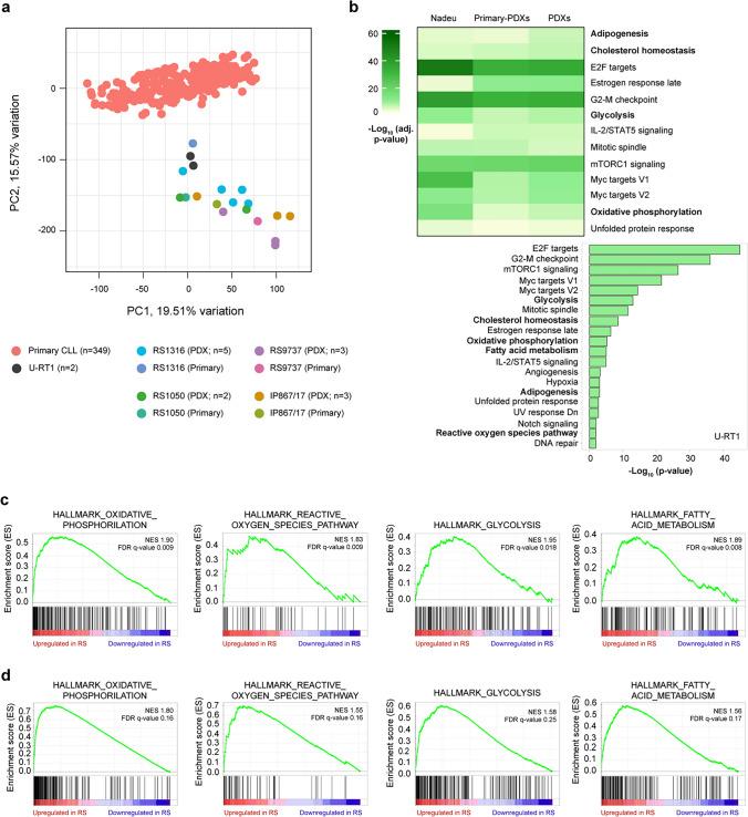 https://cdn.ncbi.nlm.nih.gov/pmc/blobs/e175/11982009/c2558b1e1fc3/18_2025_5670_Fig1_HTML.jpg