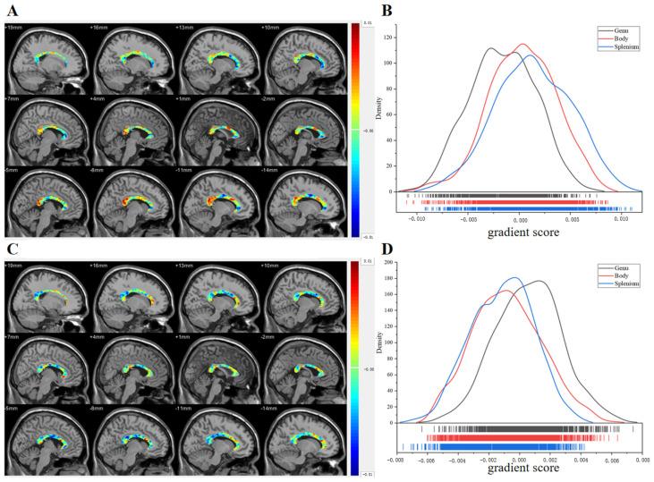 https://cdn.ncbi.nlm.nih.gov/pmc/blobs/e182/11763486/2dcaf9a72f09/brainsci-15-00026-g005.jpg