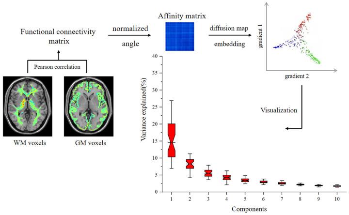 https://cdn.ncbi.nlm.nih.gov/pmc/blobs/e182/11763486/e13554b48b8b/brainsci-15-00026-g001.jpg