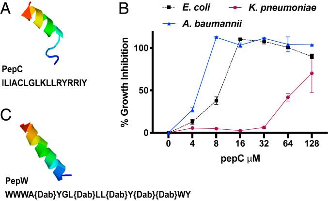 https://cdn.ncbi.nlm.nih.gov/pmc/blobs/e191/7959497/b09e35cb400f/pnas.2007036117fig01.jpg