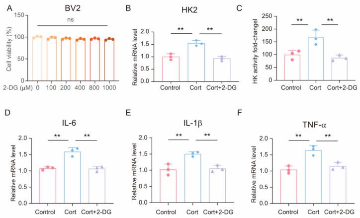 https://cdn.ncbi.nlm.nih.gov/pmc/blobs/e193/11591872/e55696fd6322/brainsci-14-01098-g005.jpg