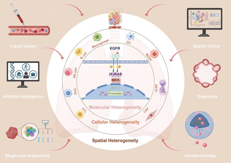 https://cdn.ncbi.nlm.nih.gov/pmc/blobs/e195/12059482/8445ab926f4e/cdr-8-21.fig.2.jpg