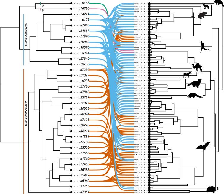 https://cdn.ncbi.nlm.nih.gov/pmc/blobs/e1af/11357359/a0081612ecbe/elife-91745-fig2-figsupp3.jpg