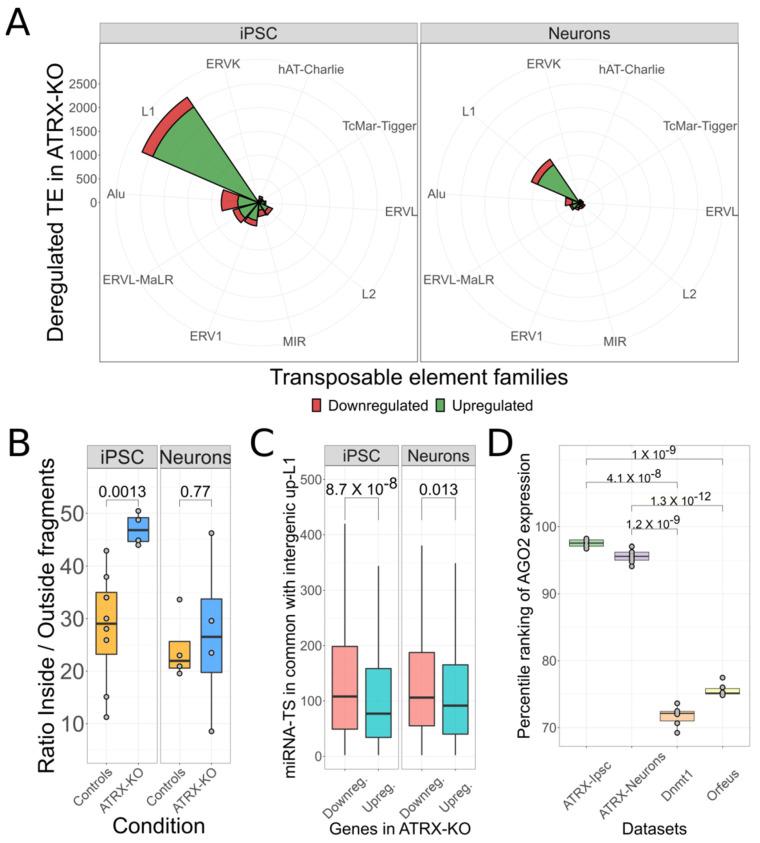 https://cdn.ncbi.nlm.nih.gov/pmc/blobs/e1bf/9776036/2fcd8deea4ec/biomedicines-10-03279-g004.jpg