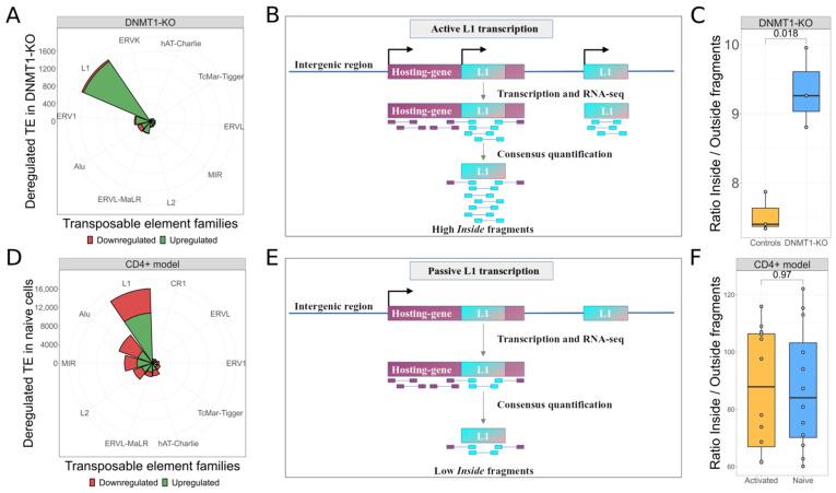 https://cdn.ncbi.nlm.nih.gov/pmc/blobs/e1bf/9776036/57d02010fe35/biomedicines-10-03279-g001.jpg