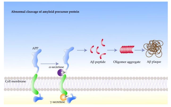 https://cdn.ncbi.nlm.nih.gov/pmc/blobs/e1cd/8876037/3cc334b41313/molecules-27-01210-g001.jpg