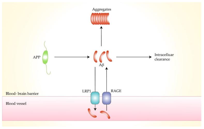 https://cdn.ncbi.nlm.nih.gov/pmc/blobs/e1cd/8876037/942bc3ff6293/molecules-27-01210-g003.jpg