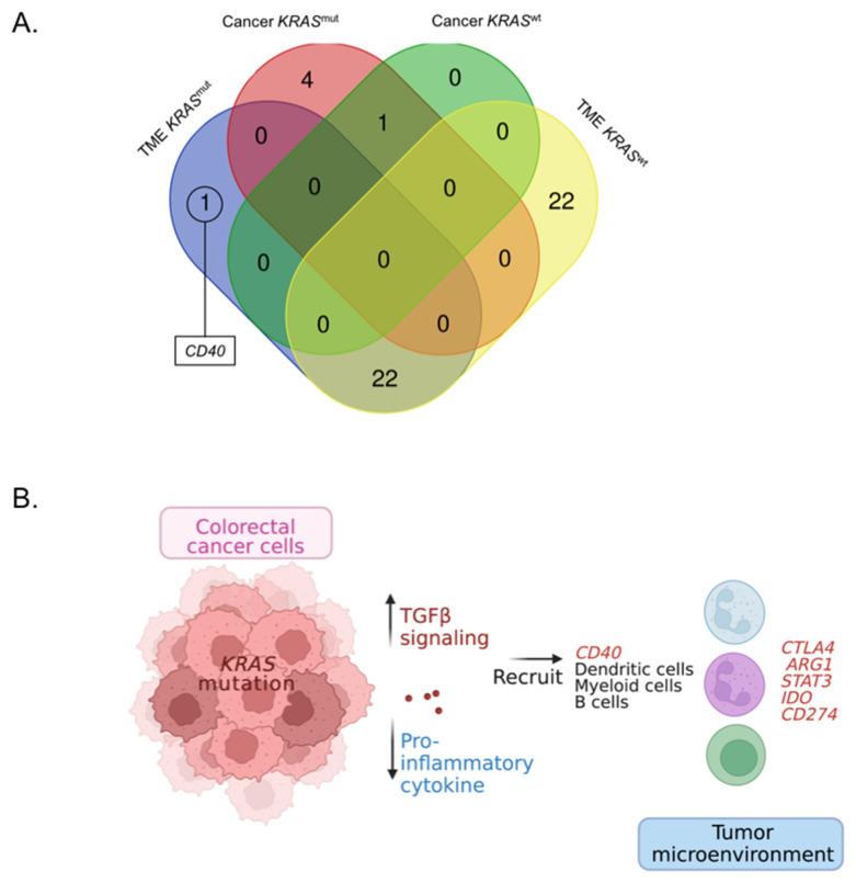 https://cdn.ncbi.nlm.nih.gov/pmc/blobs/e1f1/9953921/4a9440ae55d0/cancers-15-01098-g004.jpg