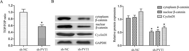 https://cdn.ncbi.nlm.nih.gov/pmc/blobs/e1fa/5610001/96749fedc40e/oncotarget-08-64273-g004.jpg