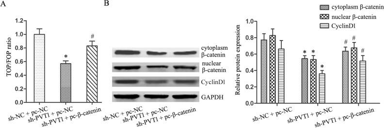 https://cdn.ncbi.nlm.nih.gov/pmc/blobs/e1fa/5610001/e4818c84ba92/oncotarget-08-64273-g005.jpg
