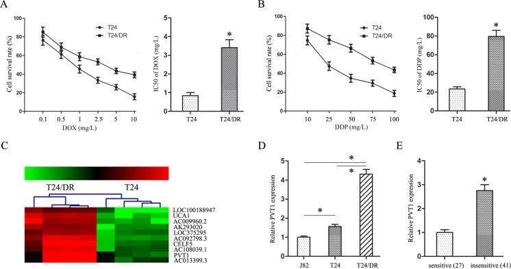https://cdn.ncbi.nlm.nih.gov/pmc/blobs/e1fa/5610001/fb9b59d44574/oncotarget-08-64273-g001.jpg
