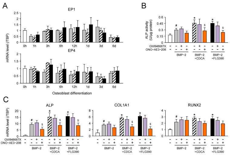 https://cdn.ncbi.nlm.nih.gov/pmc/blobs/e207/11722014/2ede2c3343c4/molecules-30-00058-g007.jpg