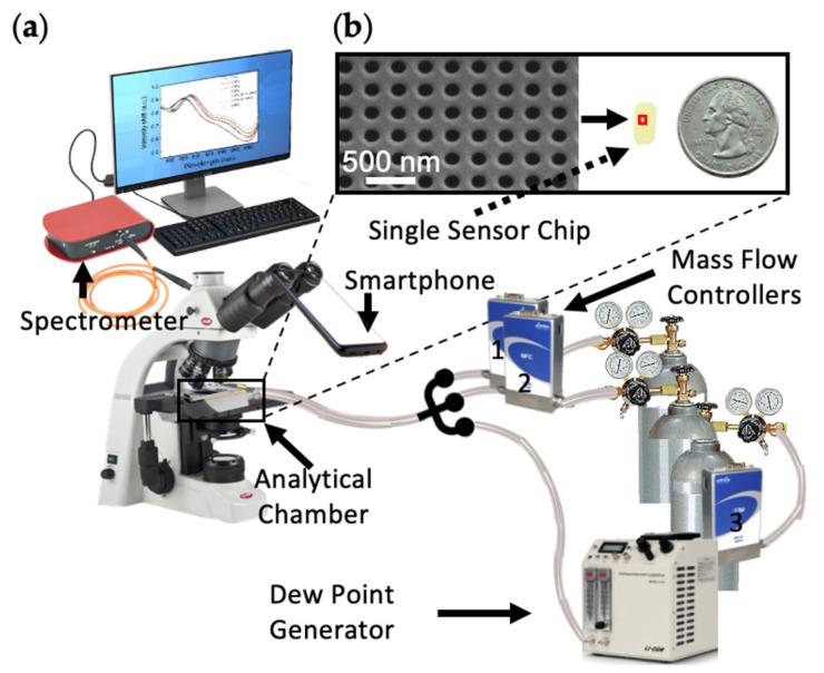https://cdn.ncbi.nlm.nih.gov/pmc/blobs/e218/8197828/8ab1d93ebd70/sensors-21-03776-g002.jpg