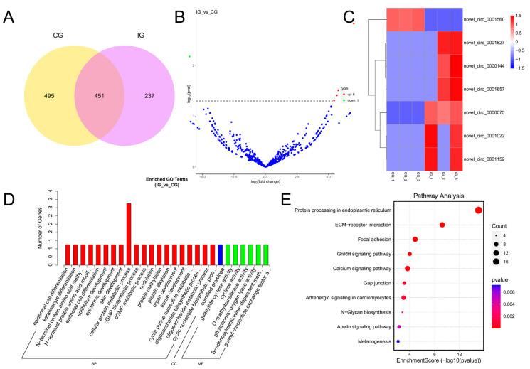 https://cdn.ncbi.nlm.nih.gov/pmc/blobs/e219/11504436/9020587b09c7/biology-13-00788-g005.jpg