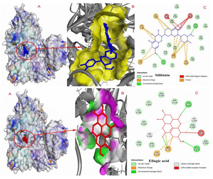 https://cdn.ncbi.nlm.nih.gov/pmc/blobs/e232/9609560/7bc36df537f7/molecules-27-07113-g005.jpg