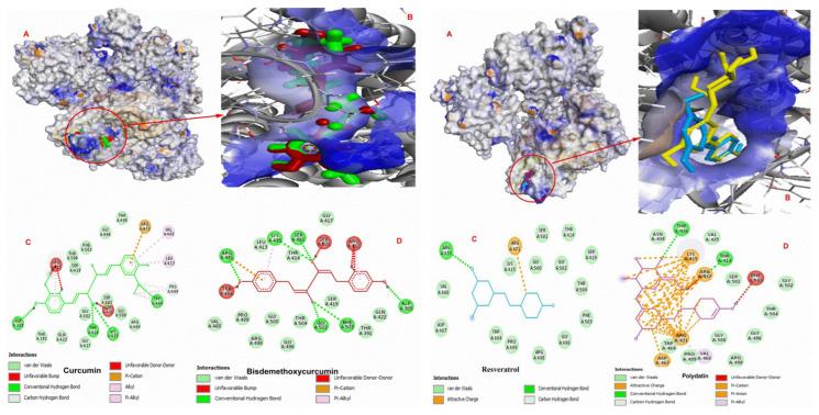 https://cdn.ncbi.nlm.nih.gov/pmc/blobs/e232/9609560/d5d5bd688c73/molecules-27-07113-g006.jpg