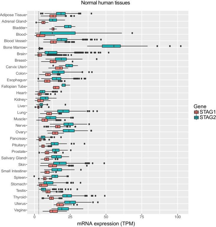 https://cdn.ncbi.nlm.nih.gov/pmc/blobs/e24c/5531830/a9c10354fc6b/elife-26980-fig4-figsupp2.jpg