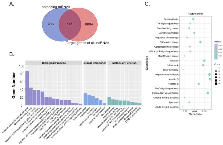 https://cdn.ncbi.nlm.nih.gov/pmc/blobs/e264/10610897/290935d920e2/vaccines-11-01593-g003.jpg