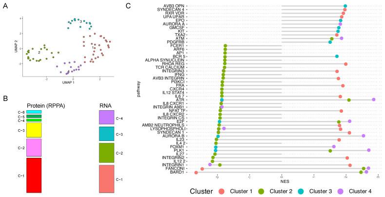 https://cdn.ncbi.nlm.nih.gov/pmc/blobs/e267/11674289/221d452240e4/cancers-16-04241-g004.jpg