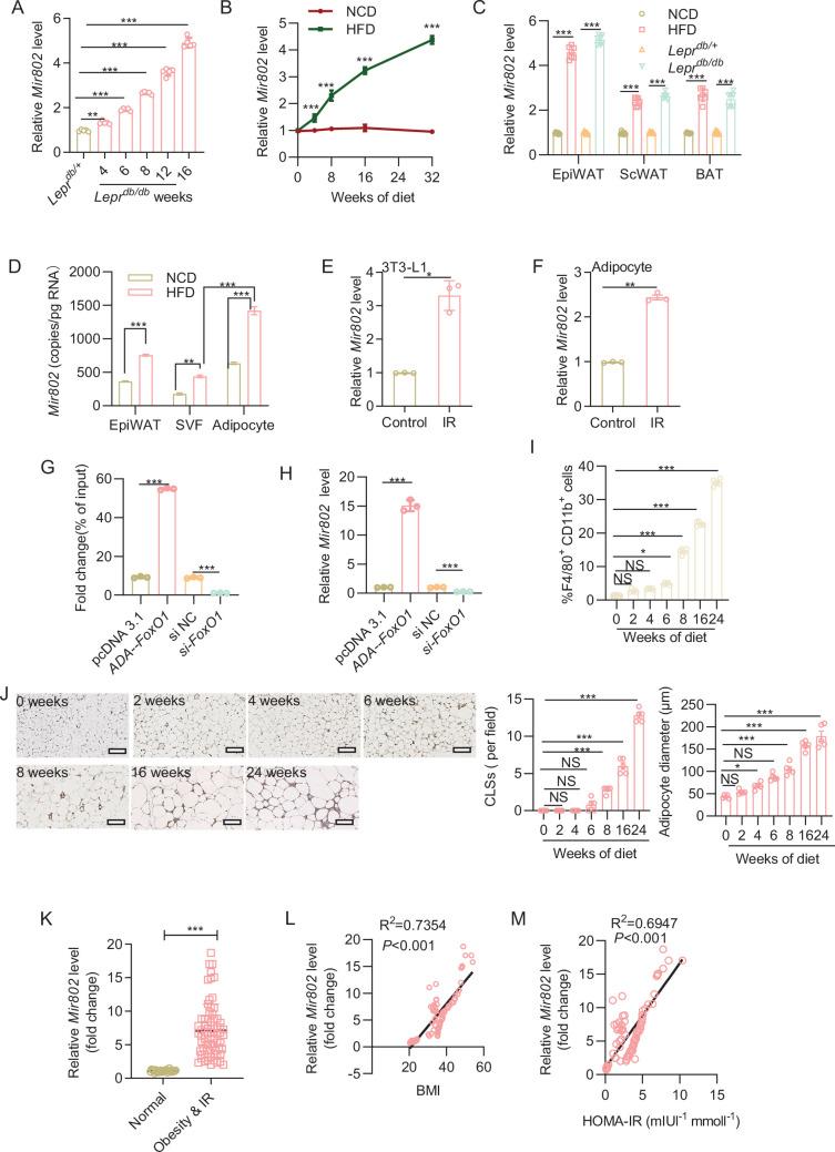 https://cdn.ncbi.nlm.nih.gov/pmc/blobs/e286/11651656/8df1cacf812f/elife-99162-fig1.jpg