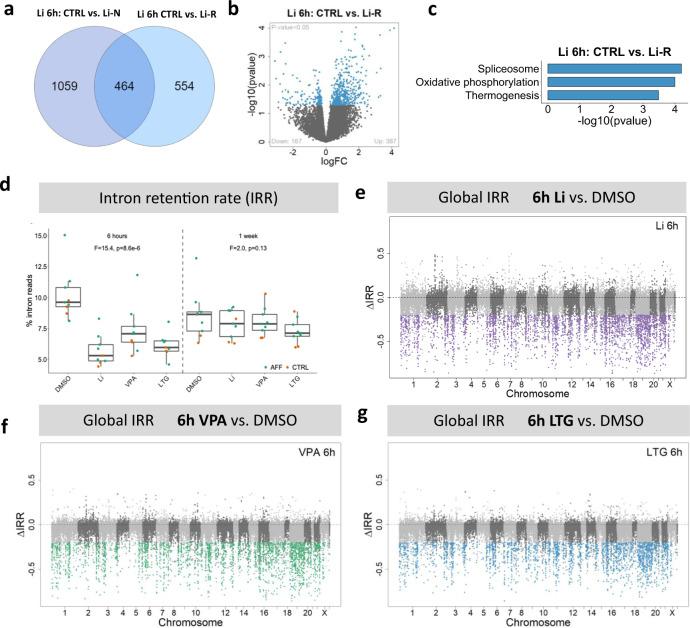https://cdn.ncbi.nlm.nih.gov/pmc/blobs/e286/8760072/b05553bfbbe6/41380_2021_1164_Fig5_HTML.jpg